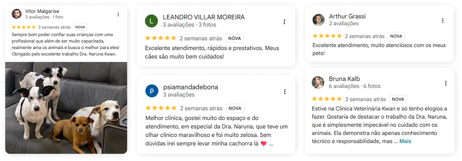 Print de depoimentos reais kwan clinica veterinária